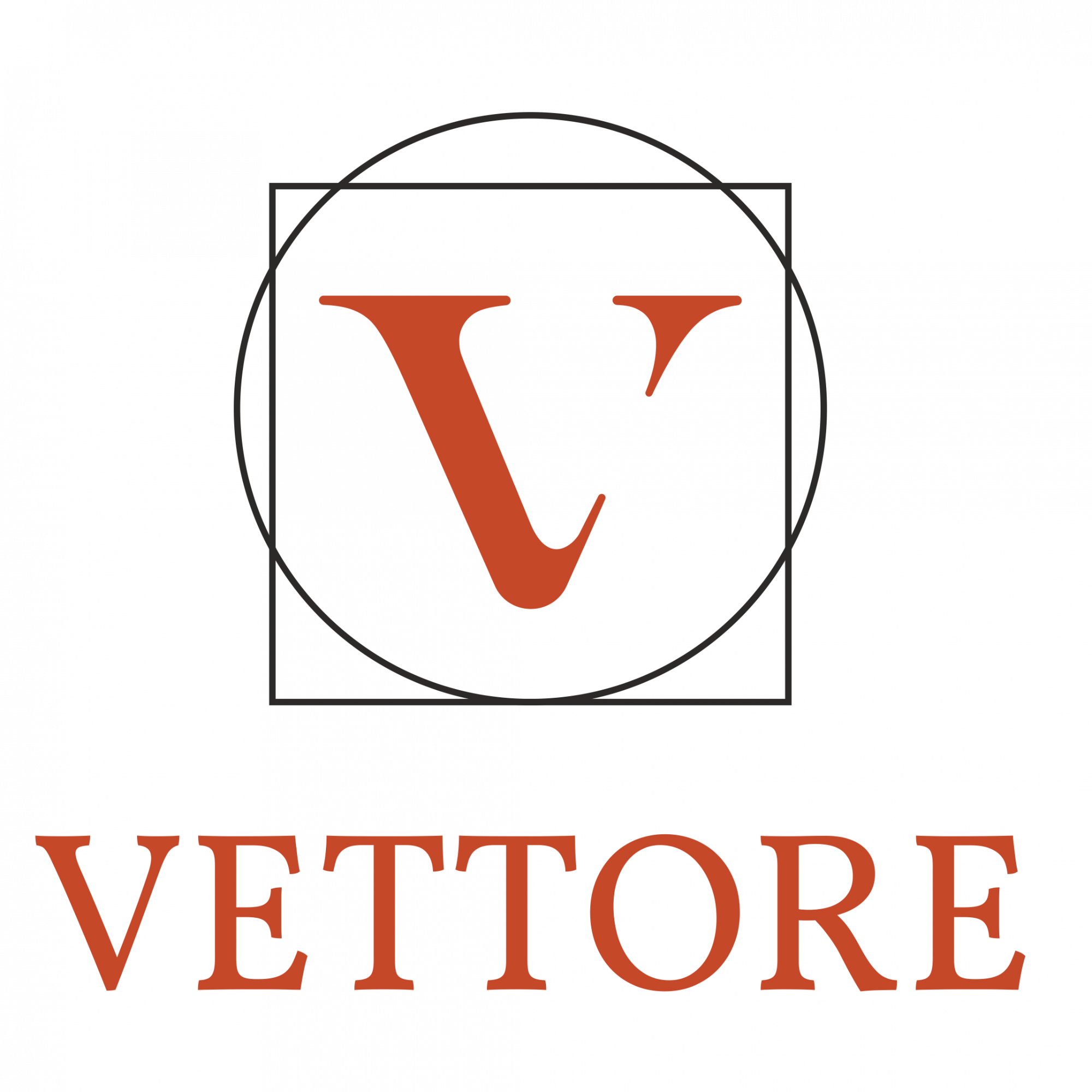 VETTORE VETTORE