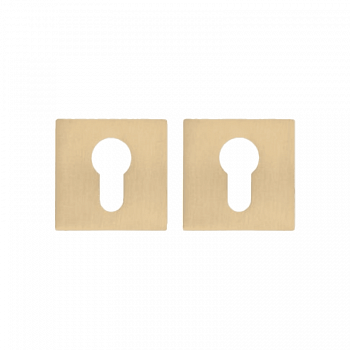 Декоративная накладка на тонком цинковом основании ABRISS ET 2101 SSG (Сатинированное золото)