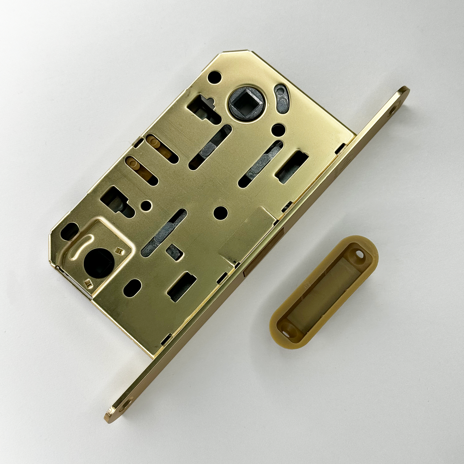 Новинки в цвете SSG