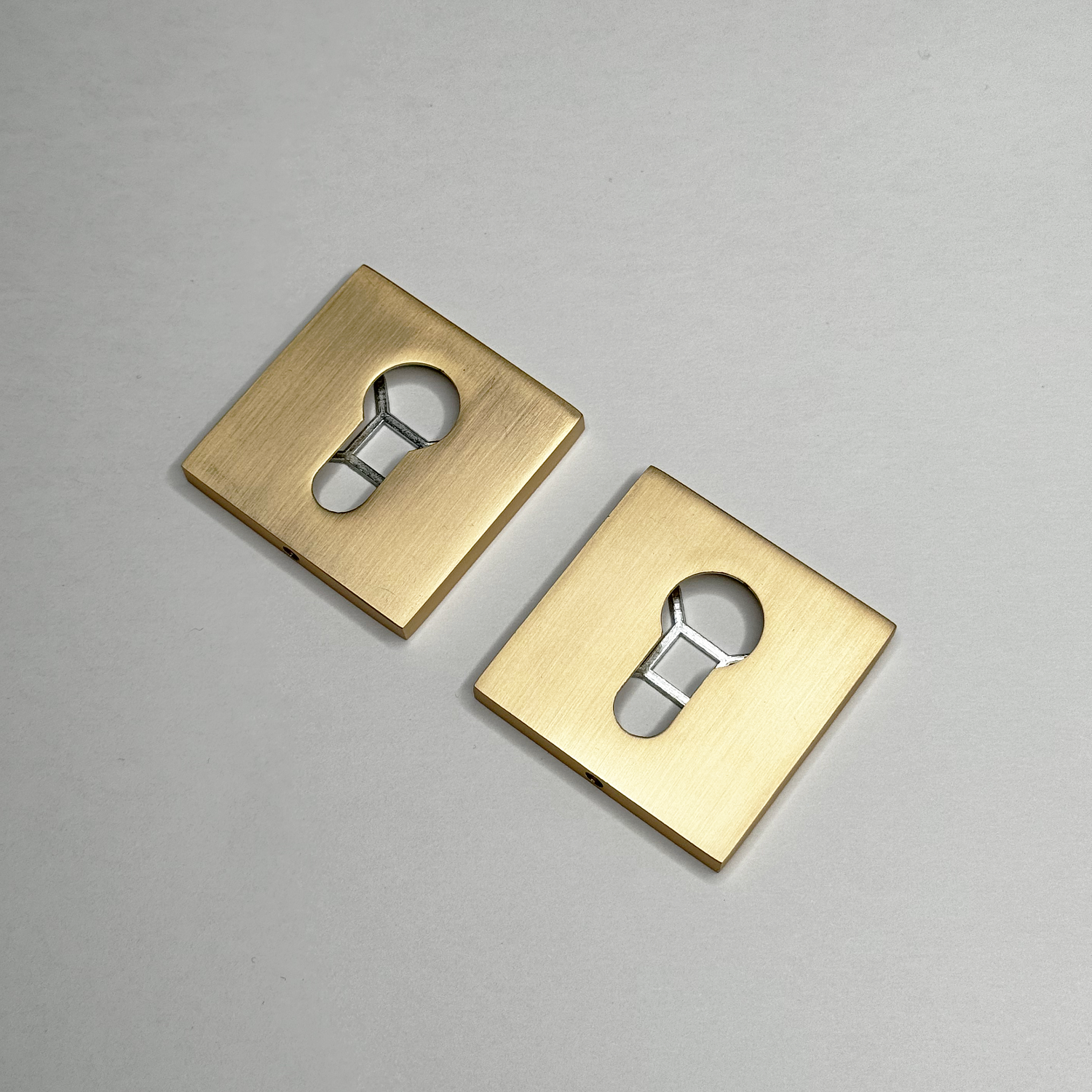 Новинки в цвете SSG