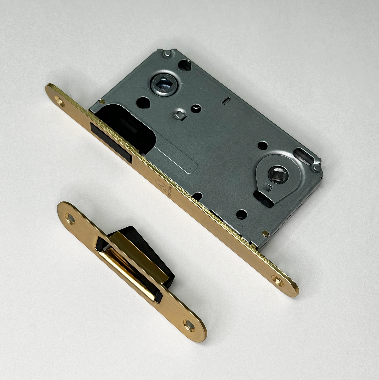 Новинки в цвете SSG