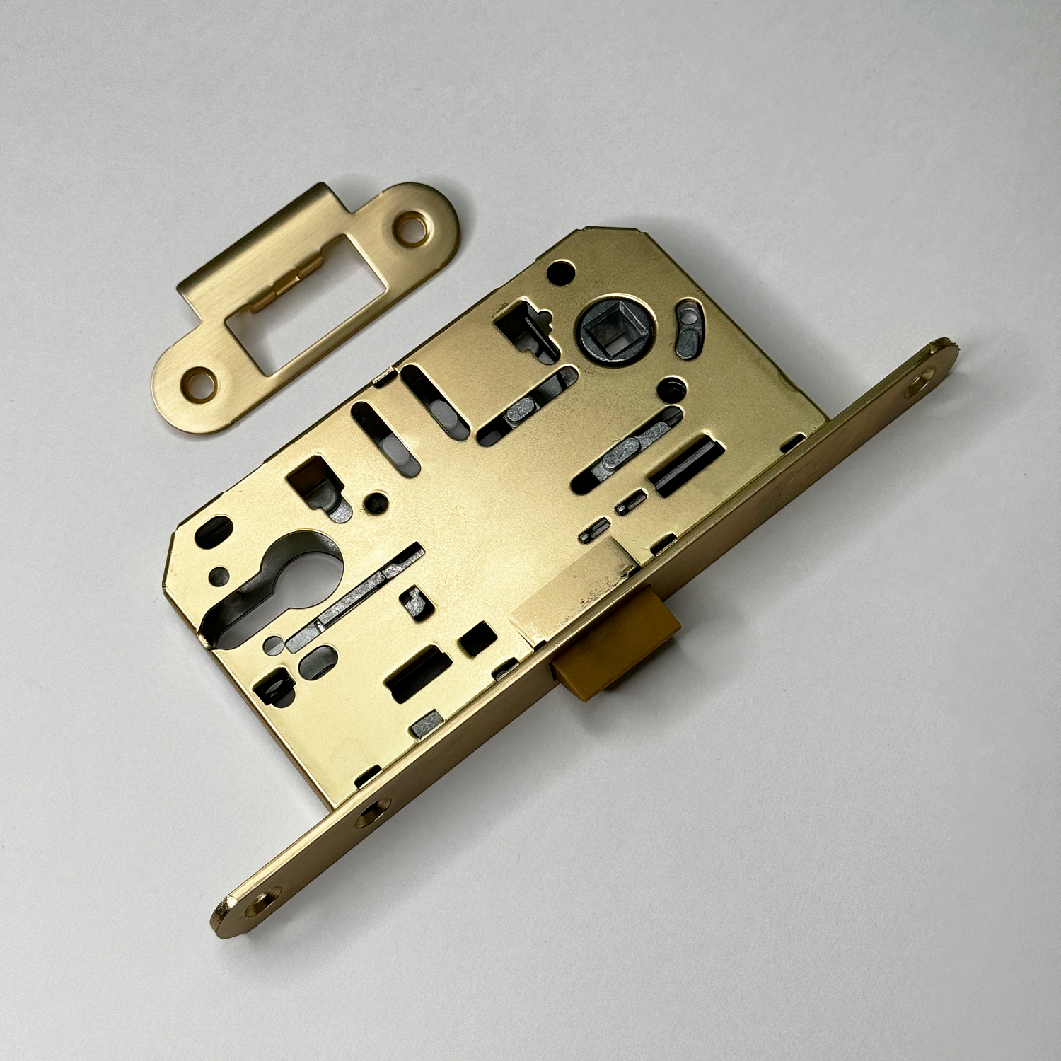 Новинки в цвете SSG