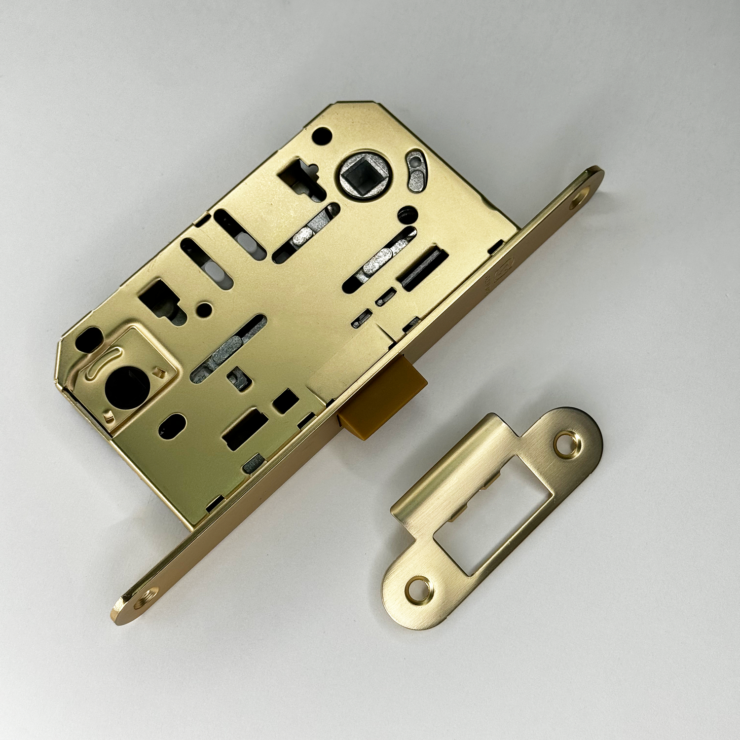 Новинки в цвете SSG